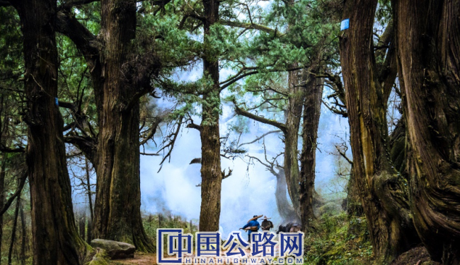 1692263465582142.png QQ截图20230817171053.png