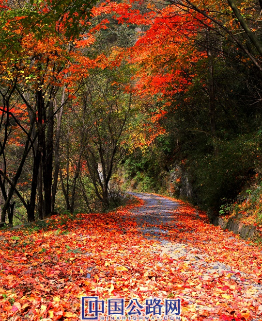 1692263497162594.png QQ截图20230817171122.png